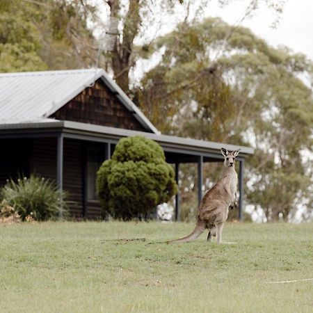 Palmers Lane Estate Hunter Valley Pokolbin Bagian luar foto