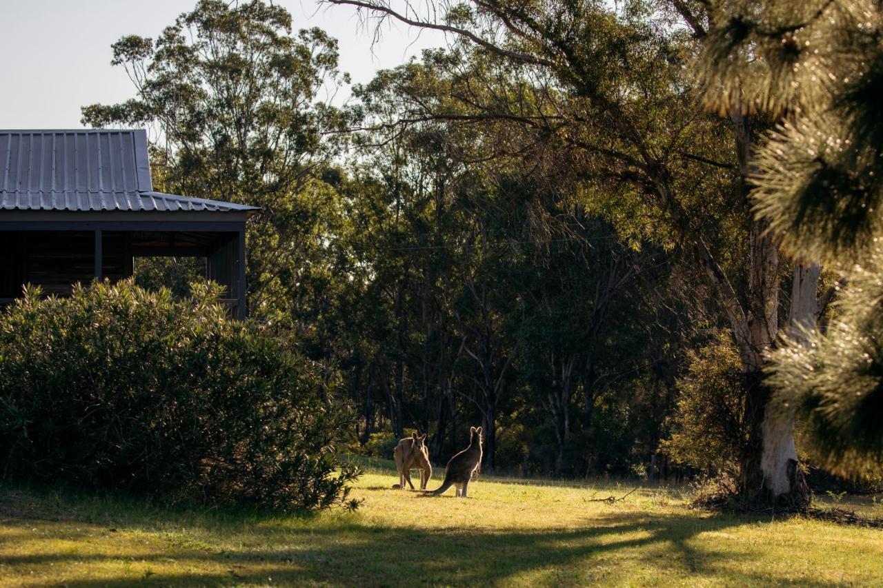 Palmers Lane Estate Hunter Valley Pokolbin Bagian luar foto